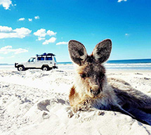 4wd Beach Tours