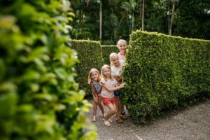 A family of girls looking out from a hedge maze