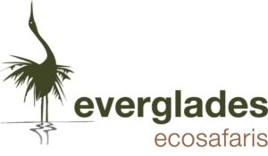 Everglades Eco Safaris