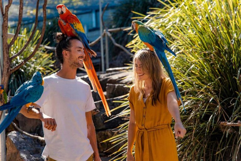 botanic_gardens_img1