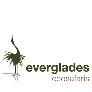Everglades Eco Safaris