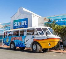 aquaduck sunshine coast