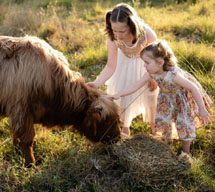 two girls patting a hairy highland cow