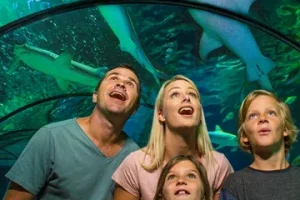 family-oceanariums-sharks