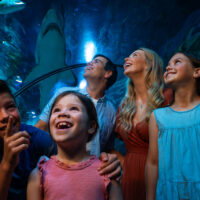 Exploring SEA LIFE Sunshine Coast