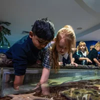 Rainy day activities for the Sunshine Coast